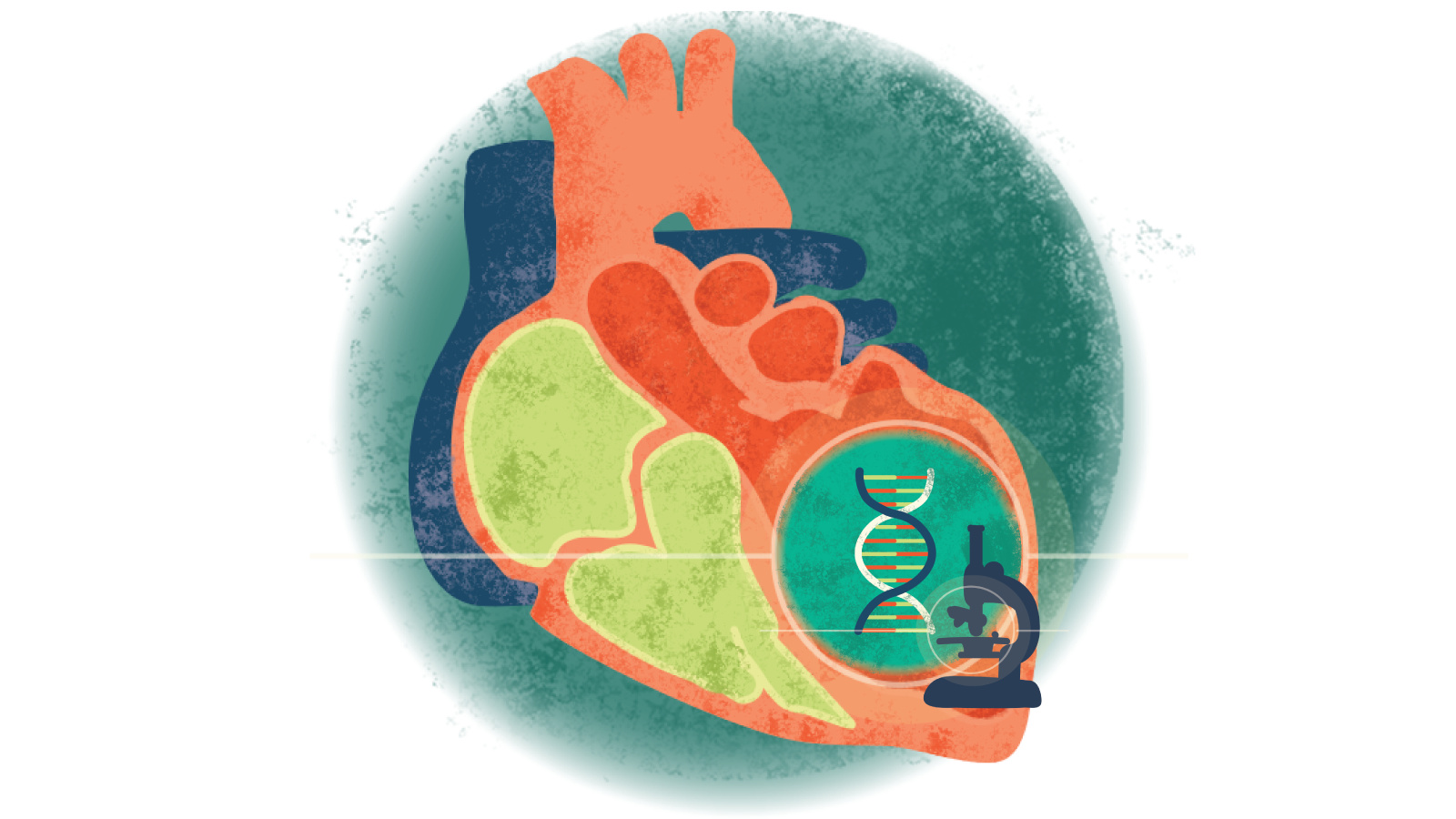 Illustration of a strand of DNA and microscope over a heart with cardiomyopathy